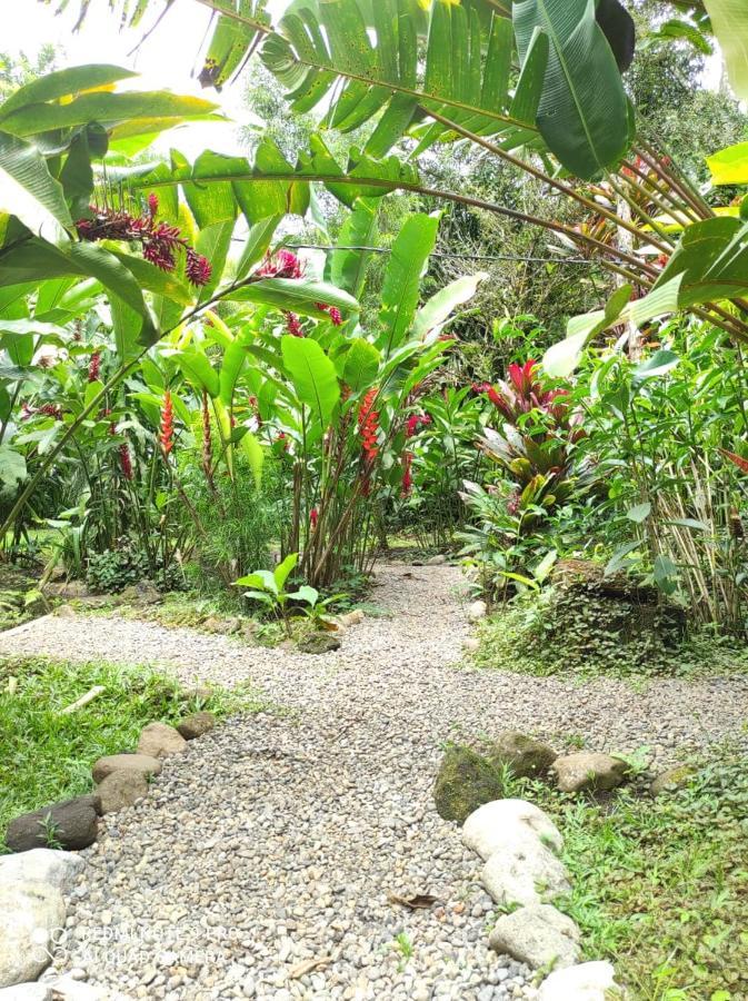 Bed and Breakfast Casita Lidia Bijagua Esterno foto